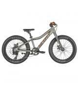 2022 Scott Roxter 20 raw alloy