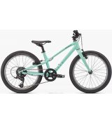 Specialized  JETT 20 Gloss Oasis / Forest Green