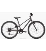 Specialized JETT 24 Satin Smoke / Flake Silver