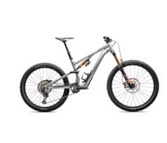 SPECIALIZED Stumpjumper 15 Fox Coil Alloy 2025