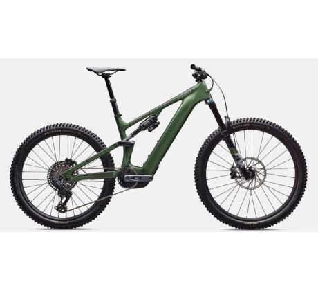 Specialized Turbo Levo 4 Expert Gloss Cypress Metallic / Silver Dust 840 Wh