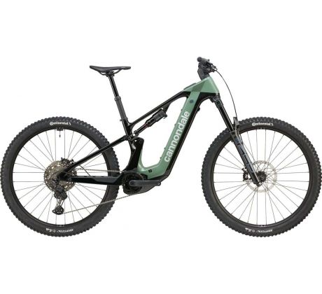 CANNONDALE MOTERRA CARBON 2 (C65024U20/JDE) Bosch - 800Wh