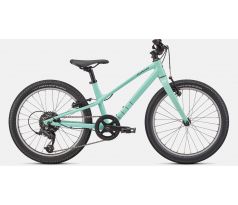 SPECIALIZED JETT 20 INT 2023 Gloss Oasis / Forest Green
