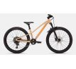 SPECIALIZED RIPROCK COMP 24 INT 2026 Gloss Photon Tint Over Flake Silver / Orange Zest