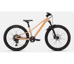 SPECIALIZED RIPROCK COMP 24 INT 2026 Gloss Photon Tint Over Flake Silver / Orange Zest