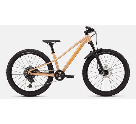 SPECIALIZED RIPROCK COMP 24 INT 2026 Gloss Photon Tint Over Flake Silver / Orange Zest