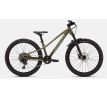 SPECIALIZED RIPROCK COMP 24 INT 2026 Gloss Laurel Green Metallic / Pistachio