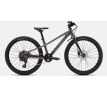 SPECIALIZED Riprock 24 2026 Gloss Smoke / Fjord Metallic