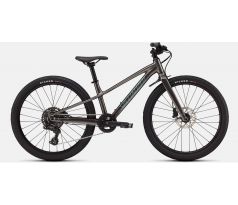 SPECIALIZED Riprock 24 2026 Gloss Smoke / Fjord Metallic
