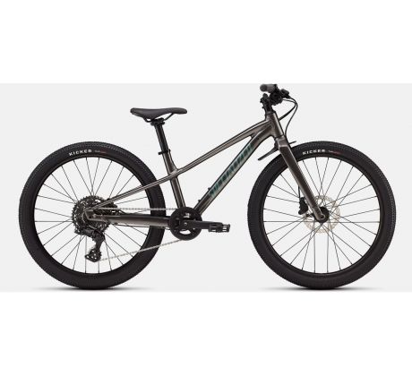 SPECIALIZED Riprock 24 2026 Gloss Smoke / Fjord Metallic