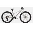 SPECIALIZED Riprock 24 2026 Gloss Dolomite Metallic / Quartz Metallic