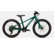 SPECIALIZED RIPROCK 20 INT 2026 Gloss Pine Green / Dune White and California Sunshine