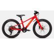 SPECIALIZED RIPROCK 20 INT 2026 Gloss Flored Calsun Orgzst