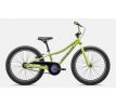 SPECIALIZED RIPROCK COASTER 20 INT 2024 Gloss Limestone / Purple Haze