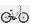 SPECIALIZED RIPROCK COASTER 20 INT 2024 Gloss Dune White / White Sage