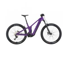 SCOTT PATRON 920 pansy purple 2026