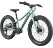 CANNONDALE KIDS TRAIL PLUS 20"