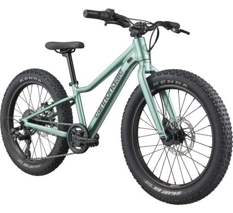 CANNONDALE KIDS TRAIL PLUS 20"